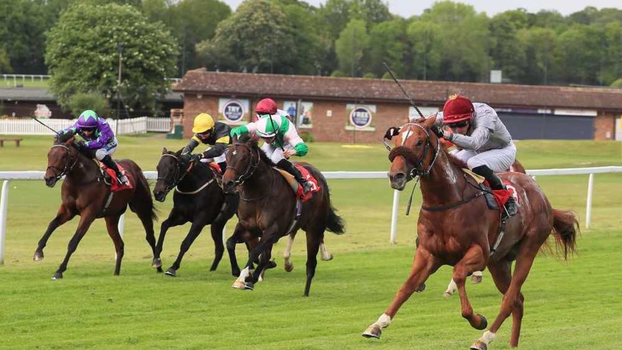 Preview : Gr.2 Coventry Stakes 2021 (Preview, 2021 Full ... Image 2